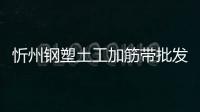 忻州鋼塑土工加筋帶批發價格