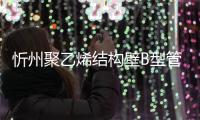忻州聚乙烯結構壁B型管