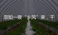忽如一夜“鄉風”來，千墻萬墻“文化”開_