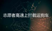 志愿者高速上攔截運狗車被撞行10余米 3人受傷