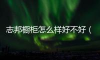 志邦櫥柜怎么樣好不好（志邦櫥柜怎么樣）