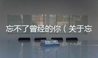 忘不了曾經(jīng)的你（關(guān)于忘不了曾經(jīng)的你的基本情況說明介紹）
