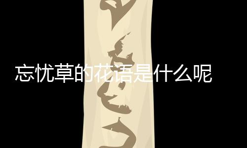 忘憂草的花語是什么呢 忘憂草的種植要注意什么呢