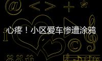 心疼！小區(qū)愛車慘遭涂鴉灌膠水