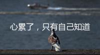 心累了，只有自己知道