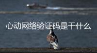 心動(dòng)網(wǎng)絡(luò)驗(yàn)證碼是干什么的與動(dòng)心科技驗(yàn)證碼是那個(gè)軟件的原因