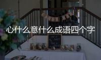 心什么意什么成語四個字（心什么意什么成語）