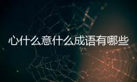 心什么意什么成語有哪些（什么心什么意的成語）