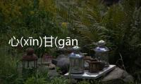 心(xīn)甘(gān)情(qíng)愿(yuàn)會有什么樣影響?