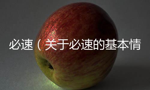 必速（關于必速的基本情況說明介紹）