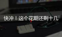 快沖！這個花期還剩十幾天！