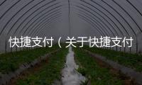 快捷支付（關于快捷支付的基本情況說明介紹）