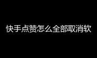 快手點贊怎么全部取消軟件（快手點贊怎么全部取消）