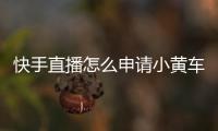 快手直播怎么申請小黃車（快手直播怎么申請）