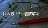 快收藏！5cc囊胚解凍移植后什么時間著床、注意事項來了