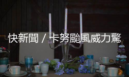 快新聞／卡努颱風威力驚人　北市松山區傳出路樹倒塌