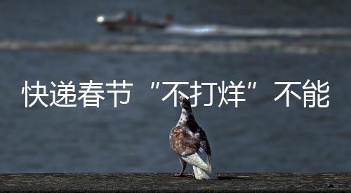 快遞春節“不打烊”不能口惠實不至