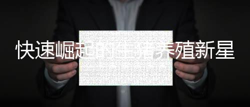 快速崛起的生豬養殖新星京基智農上半年營收凈利雙增長
