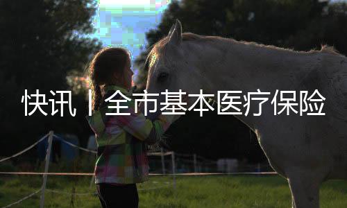 快訊丨全市基本醫(yī)療保險參保擴(kuò)面繳費工作推進(jìn)會召開