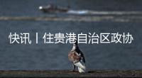 快訊丨住貴港自治區(qū)政協(xié)委員小組討論有關(guān)報(bào)告草案