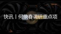 快訊丨何錄春調研重點項目建設和企業生產