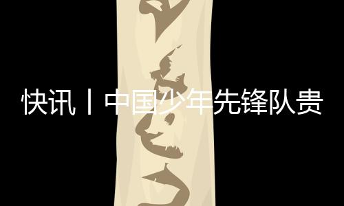 快訊丨中國少年先鋒隊貴港市第五次代表大會召開