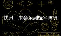 快訊丨朱會(huì)東到桂平調(diào)研項(xiàng)目建設(shè)