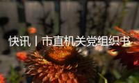 快訊丨市直機(jī)關(guān)黨組織書記開展述職并接受評議