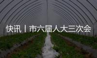 快訊丨市六屆人大三次會議舉行第二次全體會議