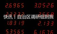 快訊丨自治區調研組到我市開展市域社會治理基層自治工作調研