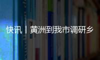 快訊丨黃洲到我市調研鄉村振興和新能源建設工作