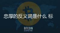 忠厚的反義詞是什么 標準答案（忠厚的反義詞）