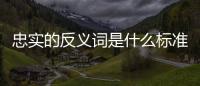 忠實的反義詞是什么標準答案只有一個（忠實的反義詞是什么）