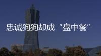 忠誠狗狗卻成“盤中餐”，遺留2只小狗無人照顧，還被主人賣掉