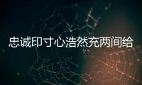 忠誠印寸心浩然充兩間給人的啟示（忠誠印寸心浩然充兩間）