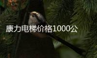 康力電梯價格1000公斤（康力電梯價格）