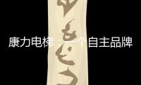 康力電梯：一個自主品牌的成長之路