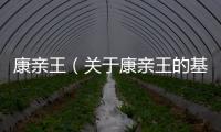 康親王（關于康親王的基本情況說明介紹）