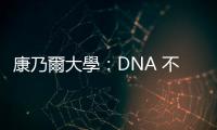 康乃爾大學：DNA 不只雙股螺旋結構，還能「摺」出有蛋白功能的構造