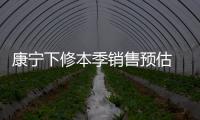 康寧下修本季銷售預估 全年光學通訊產品出貨估年減3