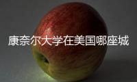 康奈爾大學在美國哪座城市？ 康奈爾大學相當于國內什么大學