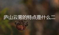 廬山云霧的特點是什么二年級（廬山云霧的特點是什么）