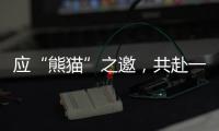 應“熊貓”之邀，共赴一場光影盛宴
