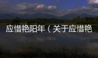 應(yīng)惜艷陽年（關(guān)于應(yīng)惜艷陽年的基本情況說明介紹）