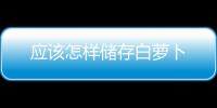 應該怎樣儲存白蘿卜
