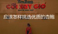 應(yīng)該怎樣挑選優(yōu)質(zhì)的杏鮑菇