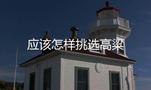 應該怎樣挑選高粱