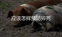 應該怎樣預防猝死