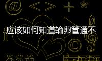 應該如何知道輸卵管通不通