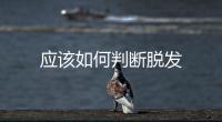應該如何判斷脫發(fā)